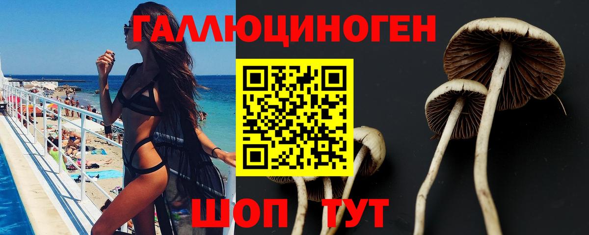 Галлюциногенные грибы GOLDEN TEACHER Ялуторовск