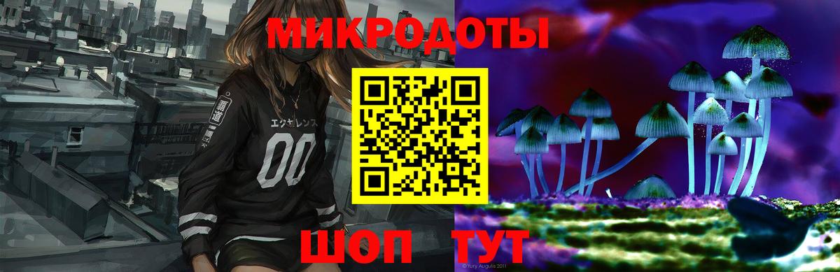 Псилоцибиновые грибы мухоморы  Вход с VPN  Ялуторовск  что такое наркотик  Галлюциногенные грибы Psilocybe 